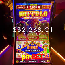 Live Casino pmbet